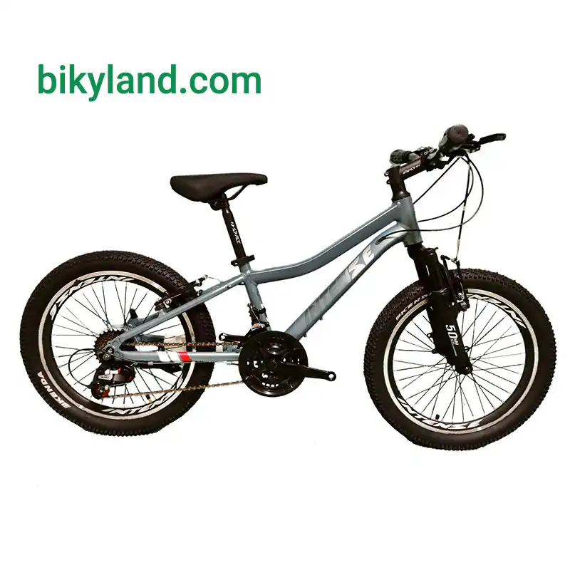 دوچرخه اینتنس مدل CHAMPION 5V سایز 20