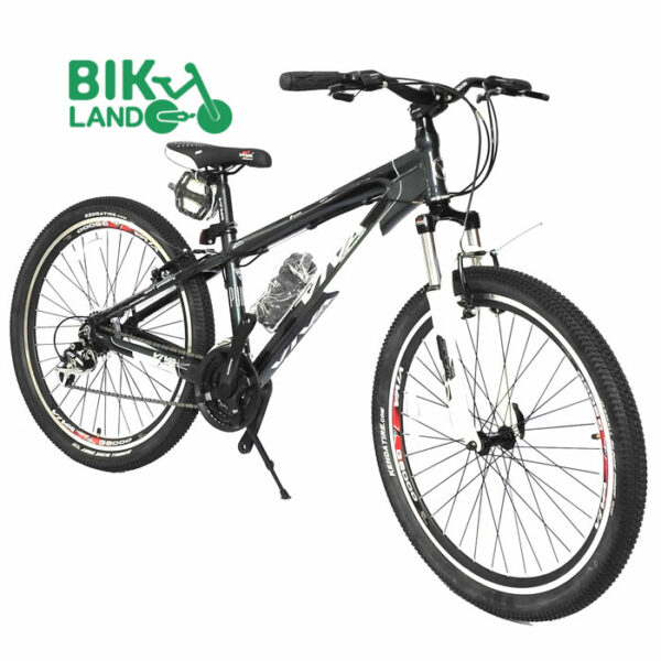 viva-bicycle-punto-bike-26