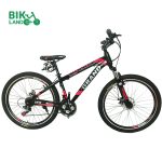 grand-ronix-bicycle-26