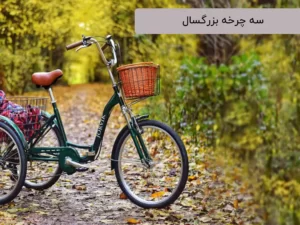سه چرخه بزرگسال مناسب چه کسانی است؟