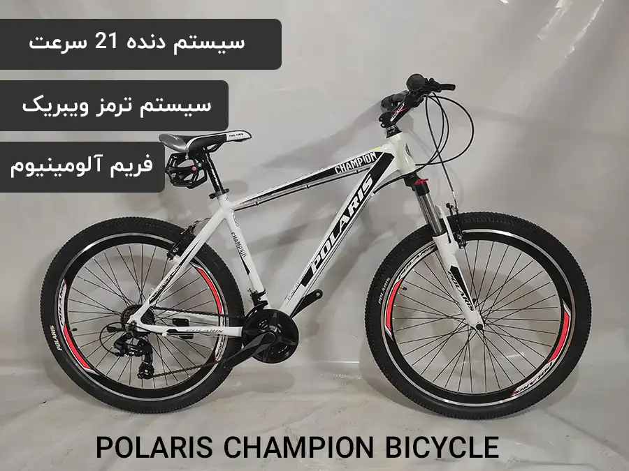 دوچرخه 29 پولاریس مدل champion