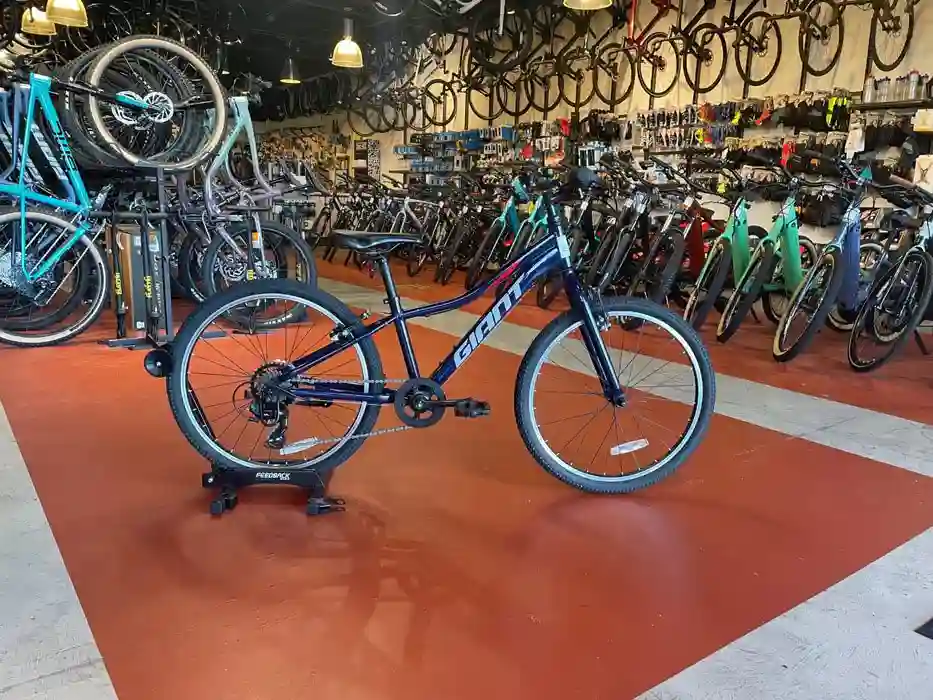خرید دوچرخه جاینت GIANT XTC JR 24 (2022) سایز 24