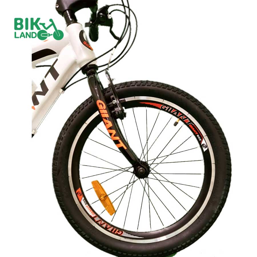 دوچرخه دخترانه جیانت مدل G7000 سایز 20