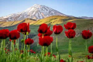  مسیر دوچرخه سواری دشت لار و ورارو – تهران تا دماوند