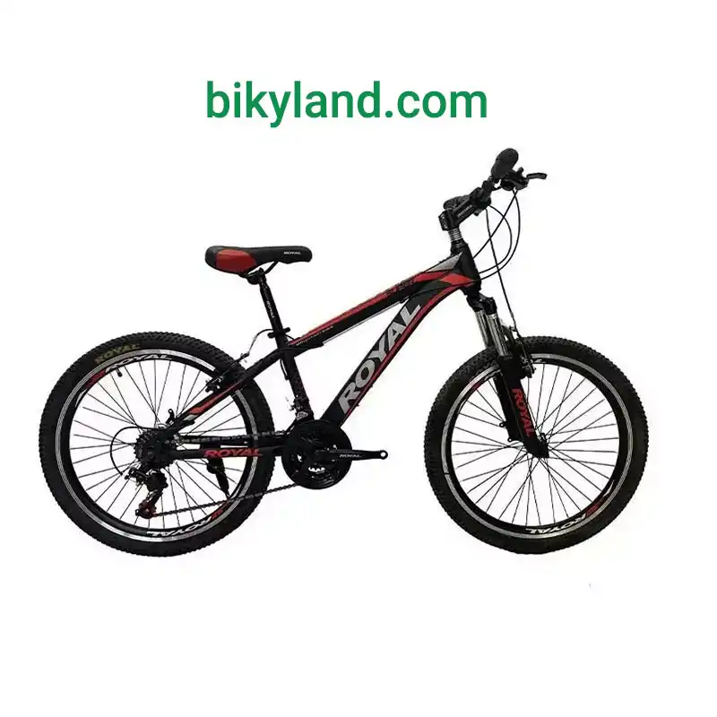 دوچرخه رویال سایز 24 مدل Royal 2440