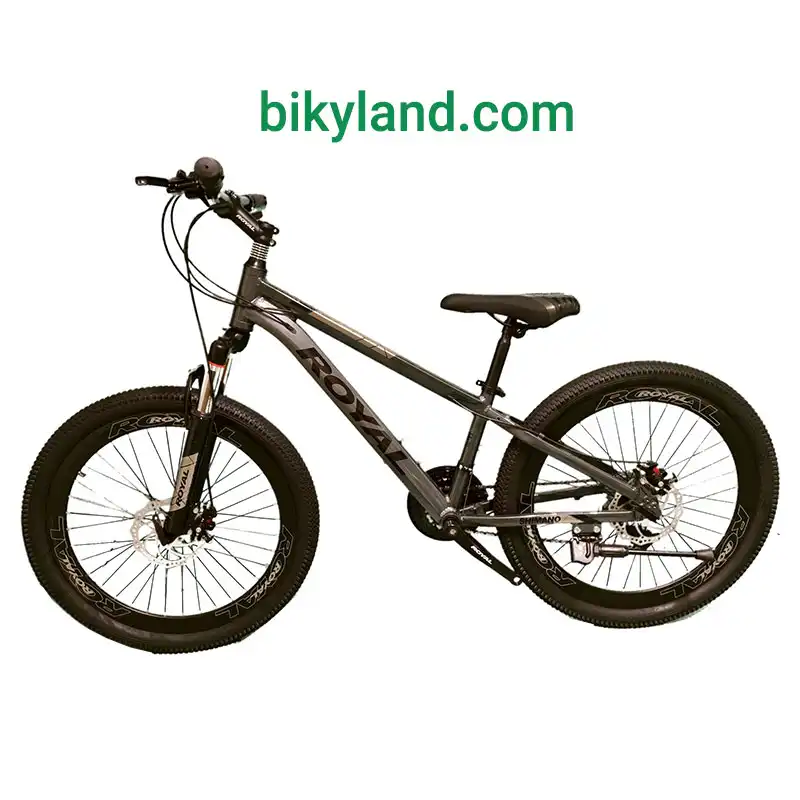 خرید دوچرخه 24 رویال مدل 2494