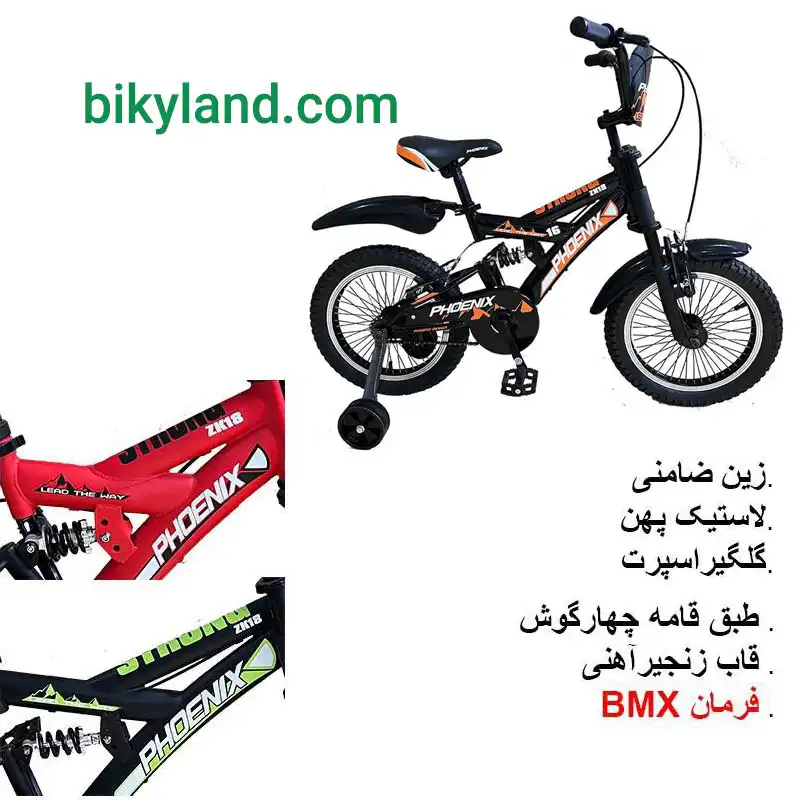 خرید دوچرخه کودک سایز 20 فونیکس مدل Phonix Storange