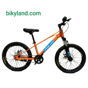 دوچرخه کودک سایز 20 فیلوکس تنه منیزیوم مدل Philux Felor