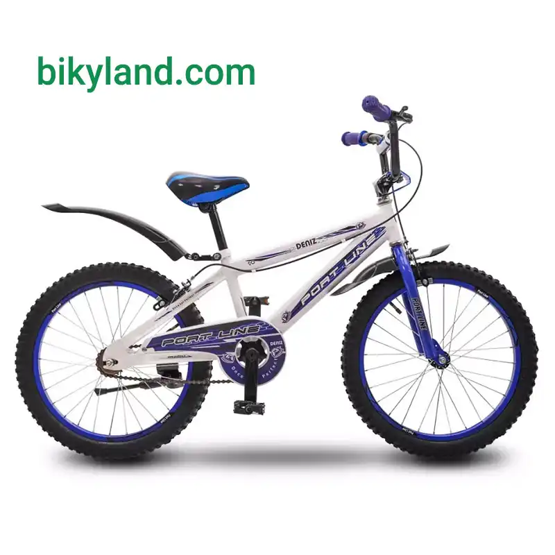 دوچرخه چیاوا مدل دنیز سایز 20