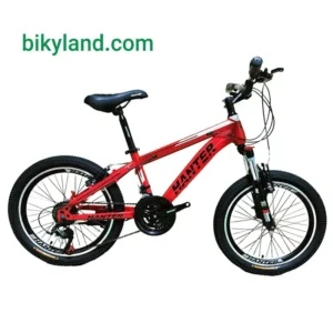 دوچرخه سایز 20 برند هانتر مدل HANTER 701V