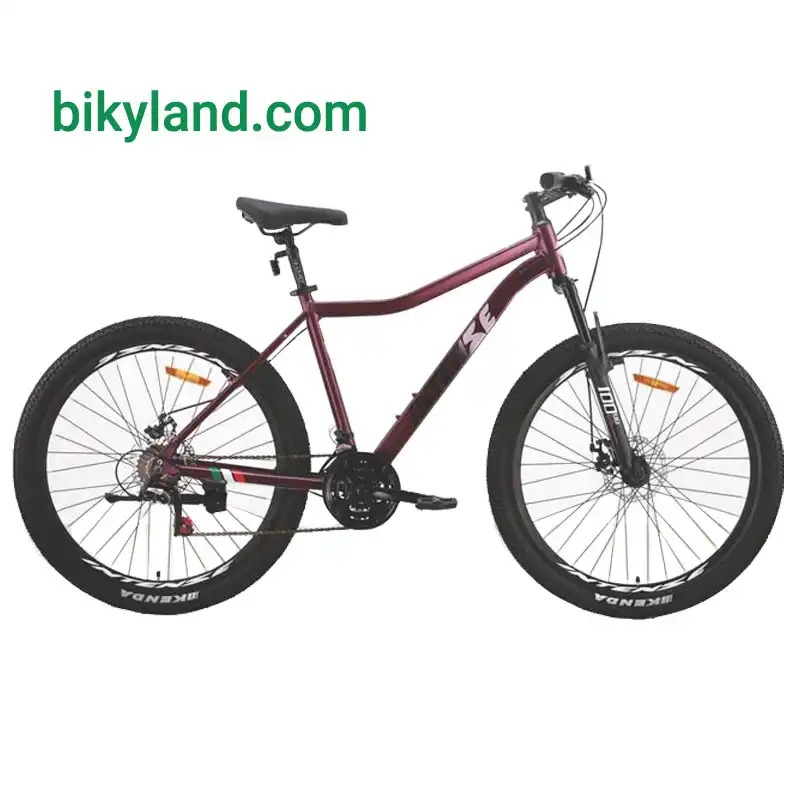 دوچرخه سایز 29 کوهستان برند اینتنس مدل Intense CD400