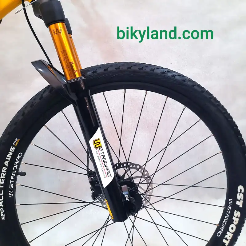 قیمت دوچرخه برقی دبلیو استاندارد WStandard Pro-T1