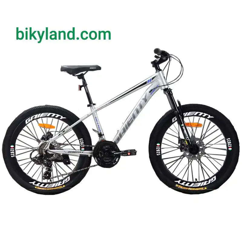دوچرخه سایز 24 جاینتی مدل GIANTY G110